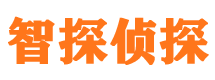 东港侦探公司